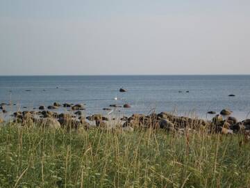 Фото номера Дом для отпуска с сауной Дома для отпуска Sepa Jõe Holiday Home г. Riksu 17