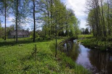 Фото номера Дом для отпуска с сауной Дома для отпуска Sepa Jõe Holiday Home г. Riksu 31