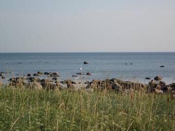 Фото номера Дом для отпуска с сауной Дома для отпуска Sepa Jõe Holiday Home г. Riksu 35